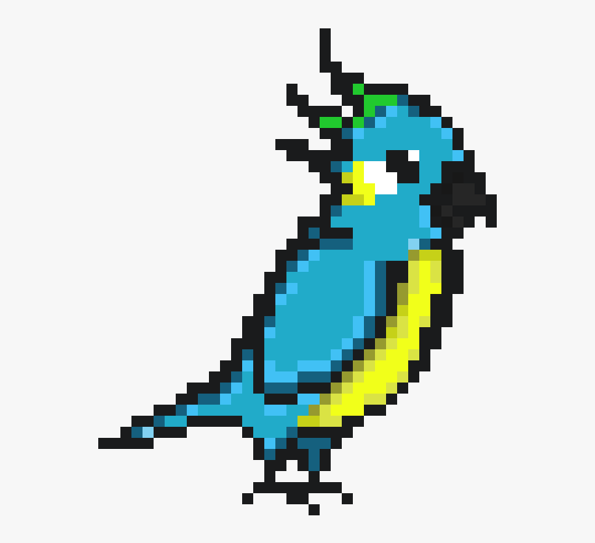 Parrot, HD Png Download - kindpng