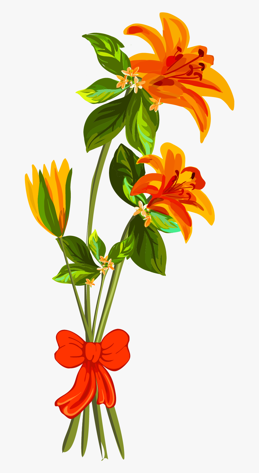 Narciso Ramo Planta Estilo Dibujado A Mano Png E Imagen - Lily Family, Transparent Png, Free Download