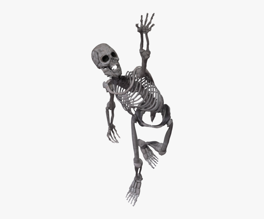 Running Skeleton Png - Skeleton Running Transparent Background, Png Download, Free Download