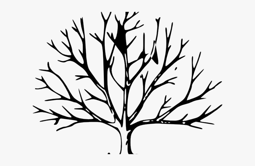 Family Tree Outline Images – Browse 6,603 Stock Photos, Vectors, and Video  | Adobe Stock