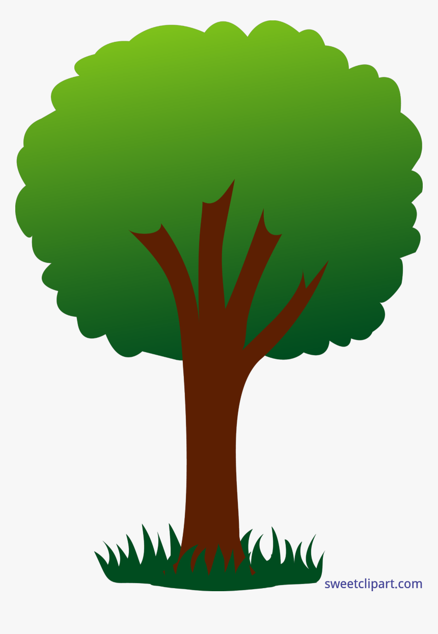 Family Tree Clipart, HD Png Download, Free Download