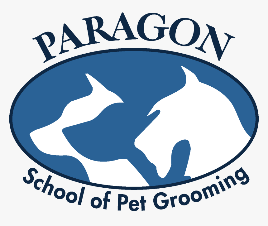 Paragon School Of Pet Grooming, HD Png Download, Free Download