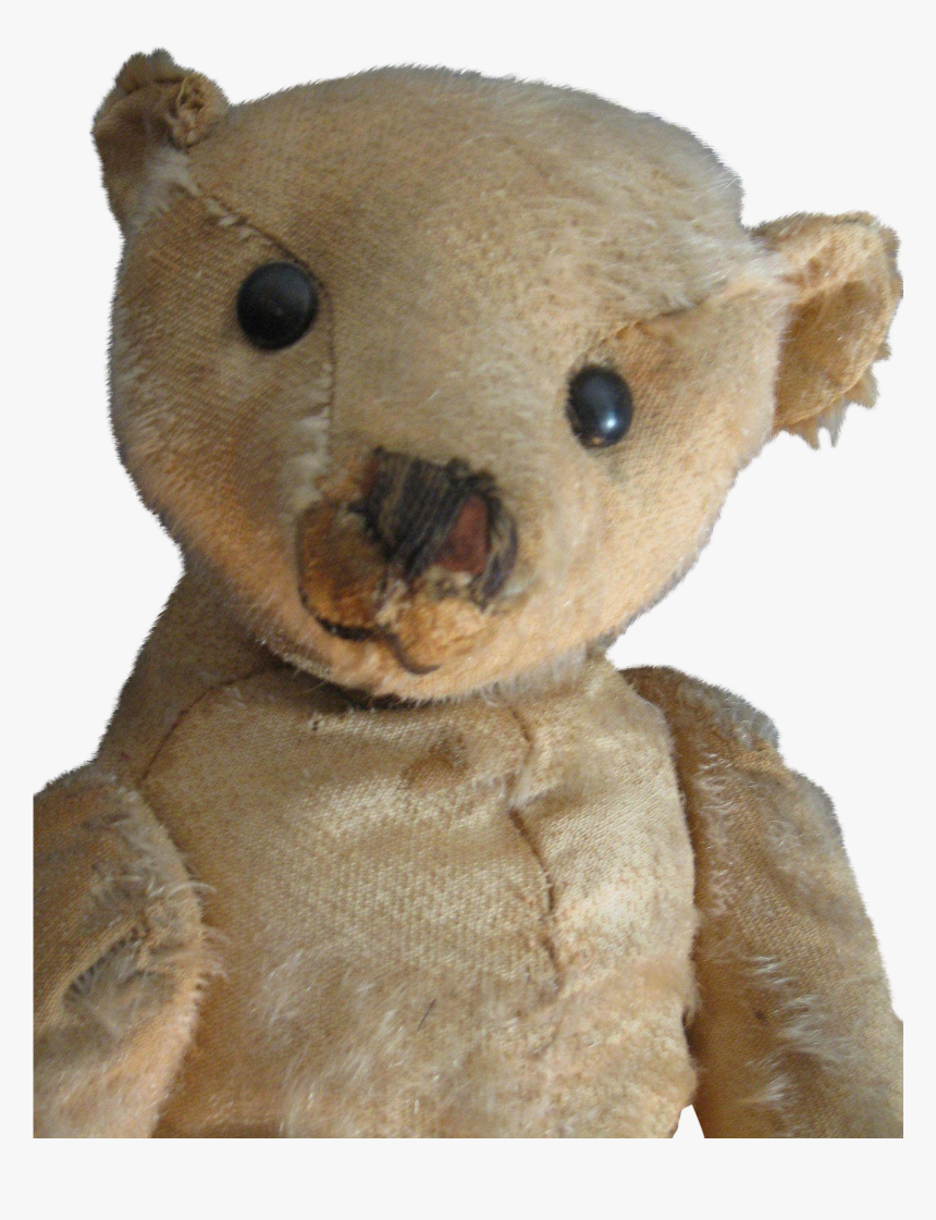 Antique 16 Beige Steiff Bear, Blank Button, Loved - Animal Figure, HD Png Download, Free Download