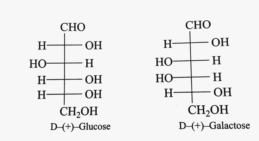 Glucose Png, Transparent Png, Free Download