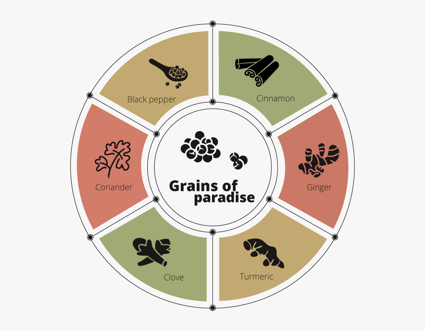 Grains Of Paradise Pairs With - London Climate Action Week Logo, HD Png Download, Free Download