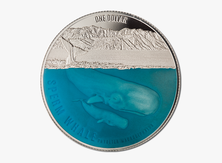 Sperm Whale Coin, HD Png Download, Free Download