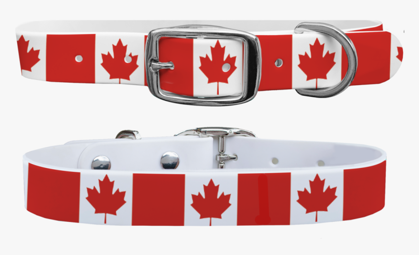 Belt, HD Png Download, Free Download