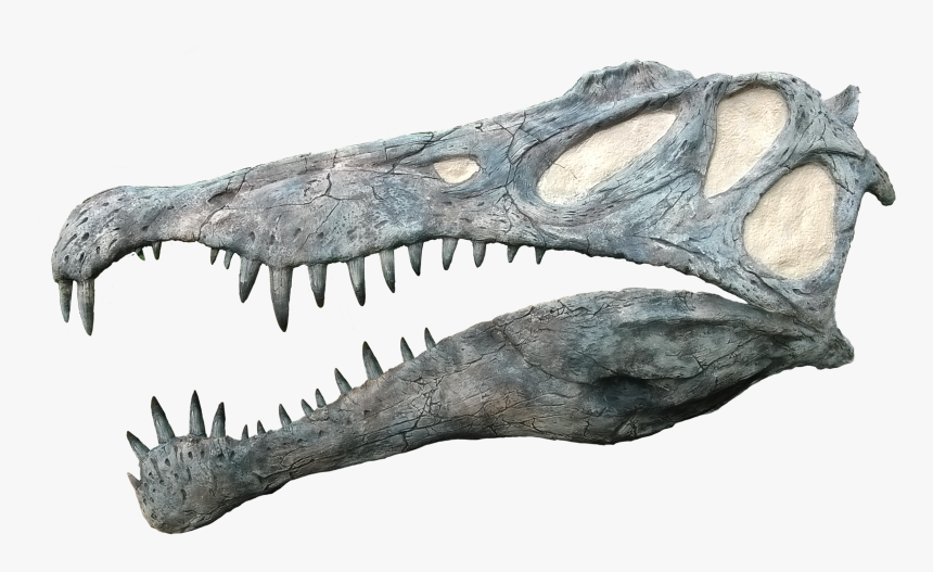 Tyrannosaurus, HD Png Download, Free Download