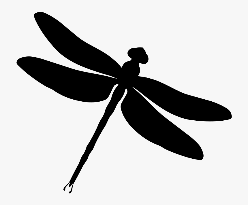 Damselfly, HD Png Download, Free Download