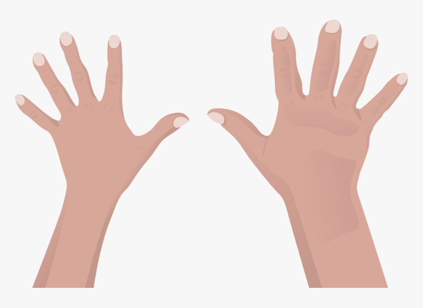 Transparent Baby Hands Png - Art, Png Download, Free Download