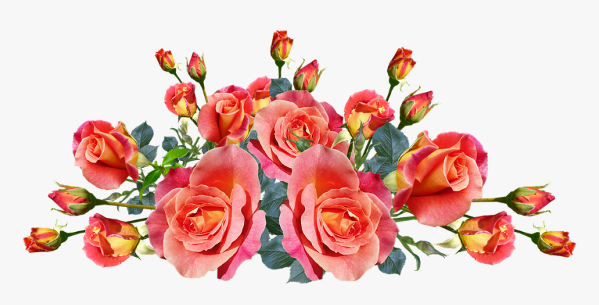 Roses, Flowers, Garden, Arrangement, Nature - Arranjo De Flores Png, Transparent Png, Free Download