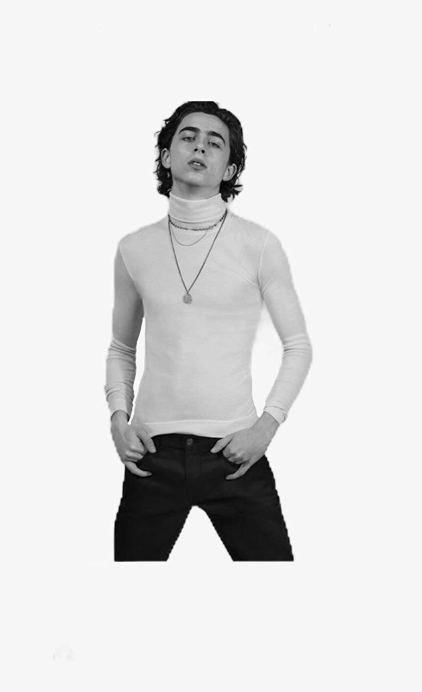 {tags To Ignore} - Timothee Chalamet Collier Schorr, HD Png Download, Free Download