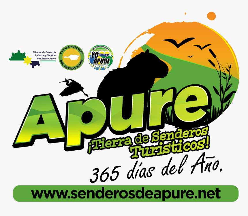 Senderosdeapure - Net - Graphic Design, HD Png Download, Free Download