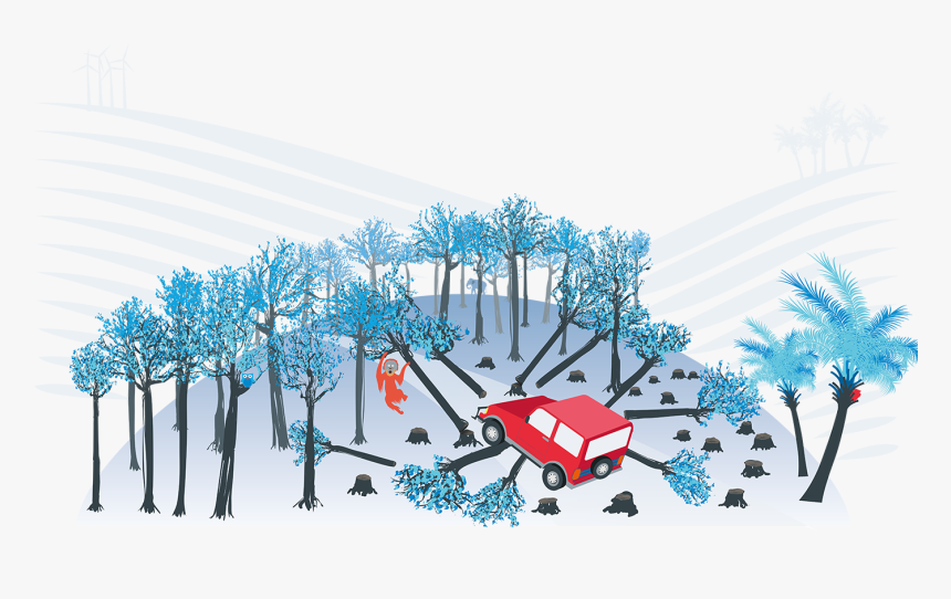 Front Cover Image From The Driving Deforestation Report - Illustration, HD Png Download, Free Download