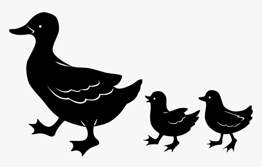 Duckling Clipart Black And White, HD Png Download, Free Download