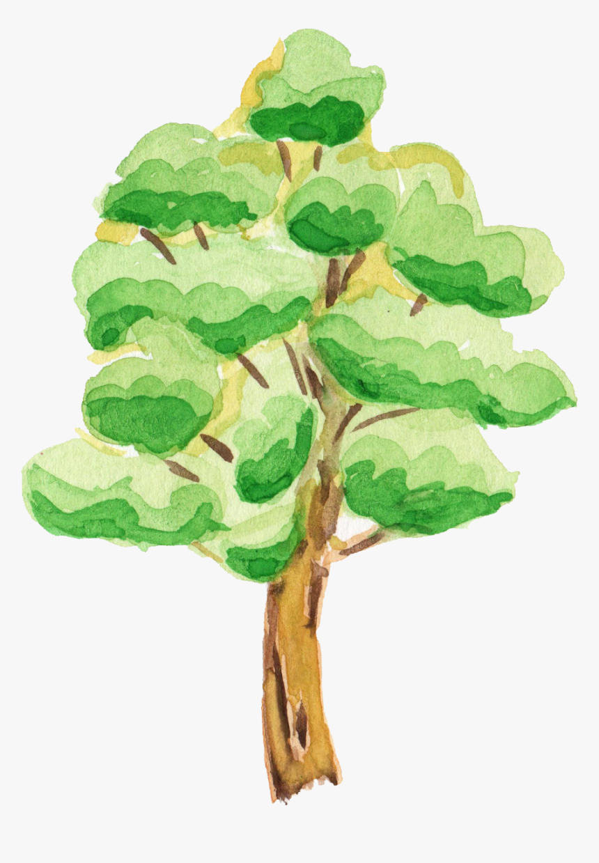 Leaf Tree Clipart Watercolor, Hd Png Download - Kindpng