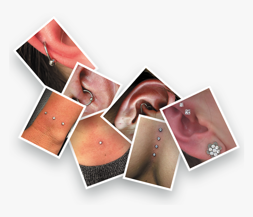 Here A Sample Of Some Of The Piercings We Have Done - Earrings, HD Png Download, Free Download