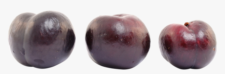 Plum, HD Png Download, Free Download