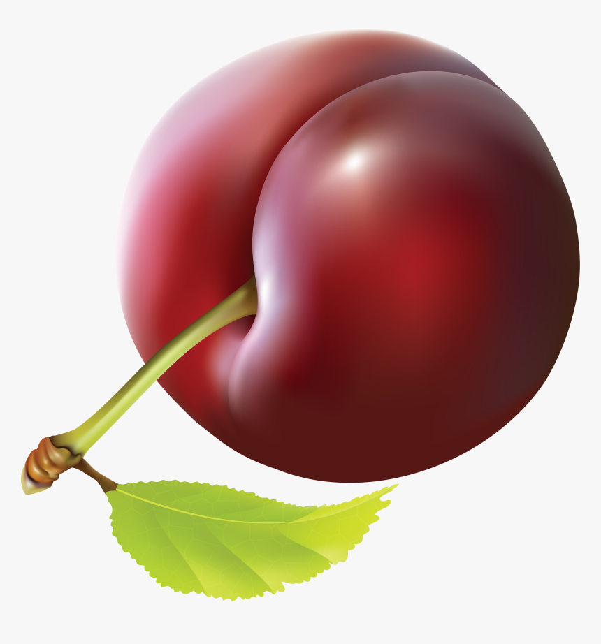 Plum Png Image - Plum Clipart, Transparent Png, Free Download