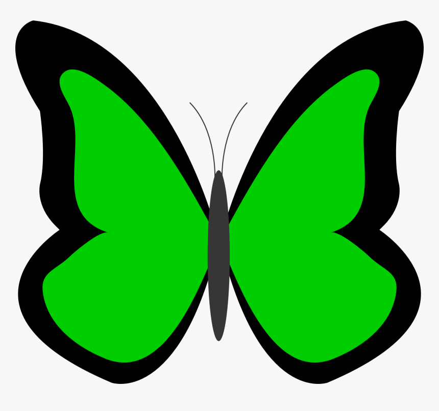 Sky Clipart Butterfly - Clipart Green Butterfly, HD Png Download, Free Download