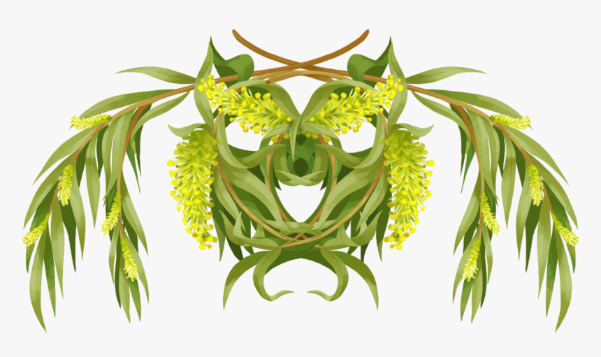 Weeping Willow // Recovery, Flexibility, Hope - Illustration, HD Png Download, Free Download