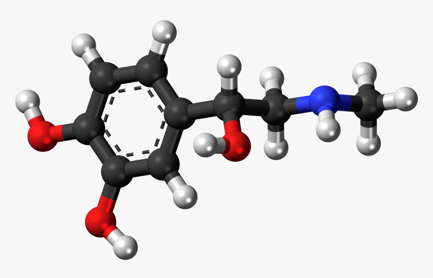 Epinephrine 3d Model, HD Png Download, Free Download