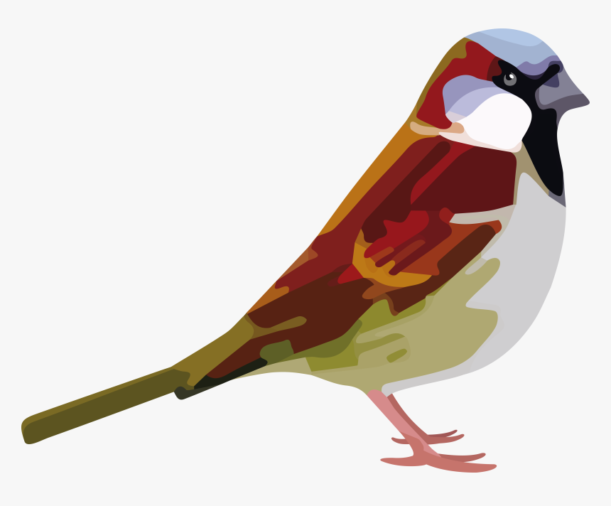 Sparrow Png Photo - Sparrow Farm Junior, Transparent Png, Free Download