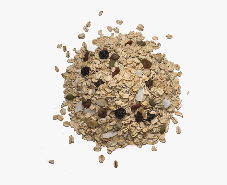 Seed, HD Png Download, Free Download