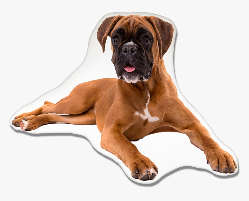 Boxer Dog Pillow - Boxer, HD Png Download, Free Download