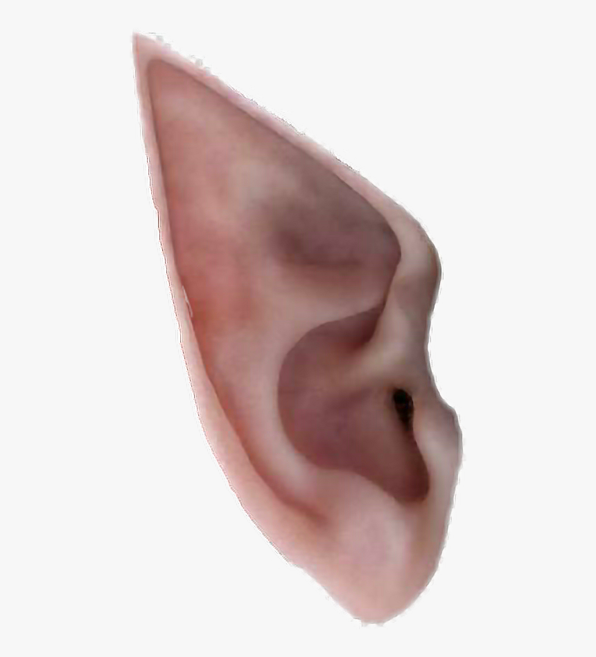 #elf #ears - Transparent Elf Ear Png, Png Download, Free Download