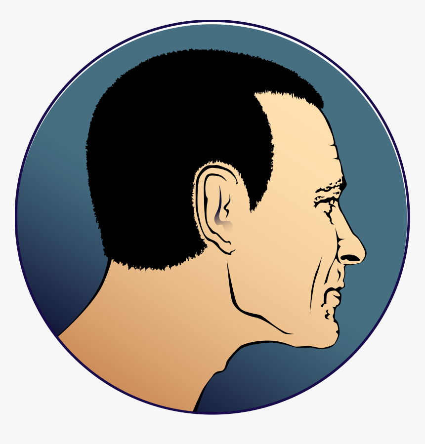 Drake Face Png - Big Head Side Profile, Transparent Png, Free Download