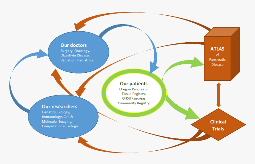 Diagram, HD Png Download, Free Download