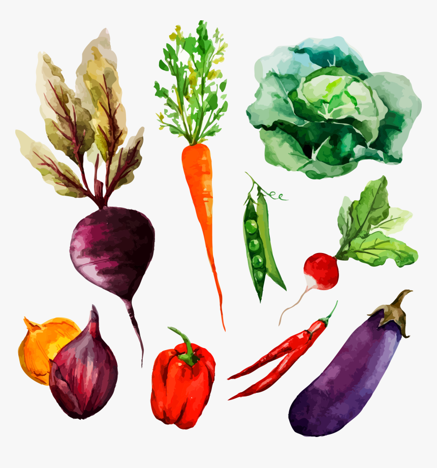 Clip Art Collection Of Free Drawing - Vegetables Drawing And Painting, HD Png Download, Free Download