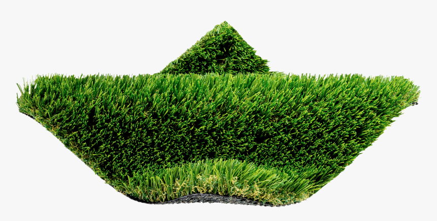 Hedge, HD Png Download, Free Download