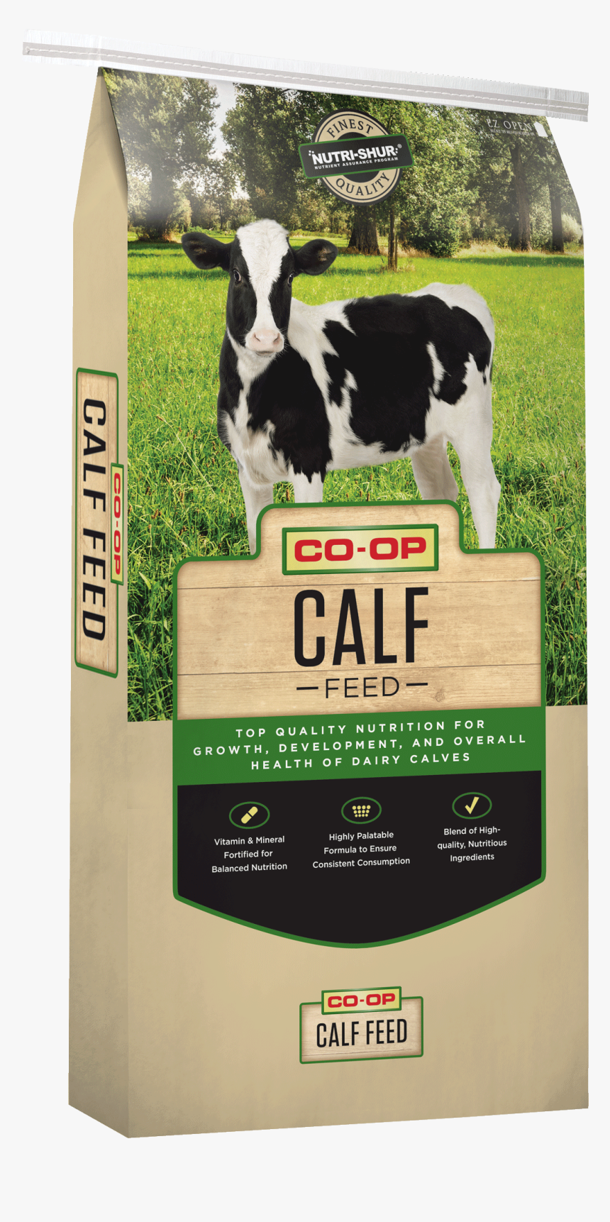 Dairy Cow, HD Png Download, Free Download