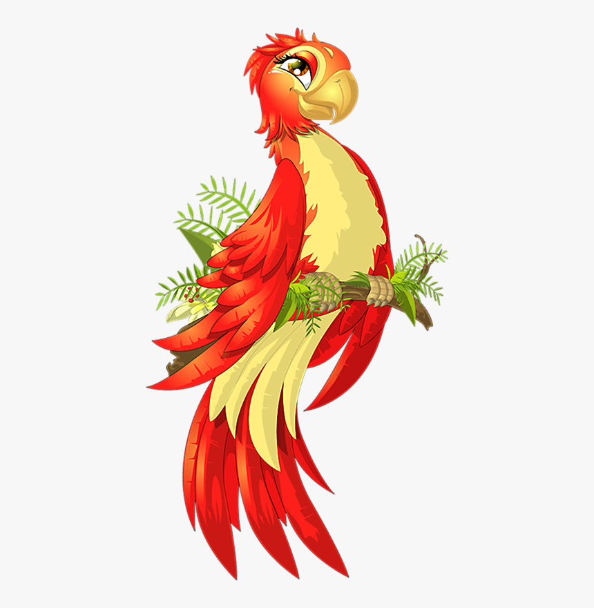 Parrot Photography Illustration Vector Flyer Graphics - Parrot, HD Png Download, Free Download