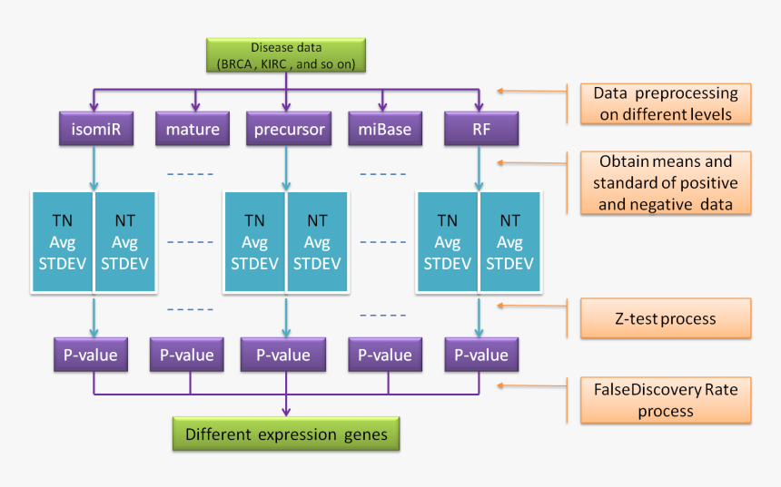 Diagram, HD Png Download, Free Download