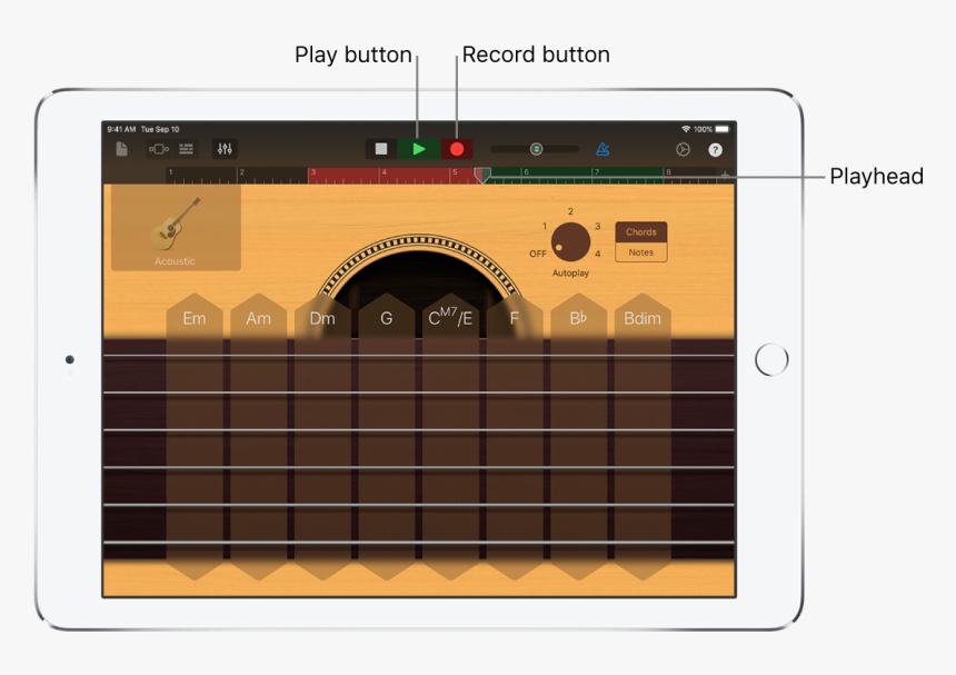 Record Button And Ruler Showing Recorded Region, HD Png Download, Free Download