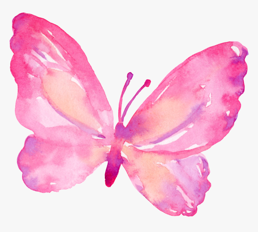 Pink Butterfly Transparent - Borboleta Desenho Png Fundo Transparente, Png  Download - kindpng