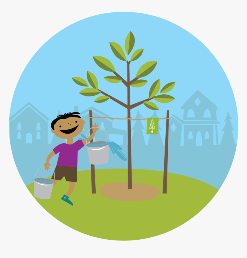 Congratulations On Planting A New Tree - Plant A Tree Png, Transparent Png, Free Download