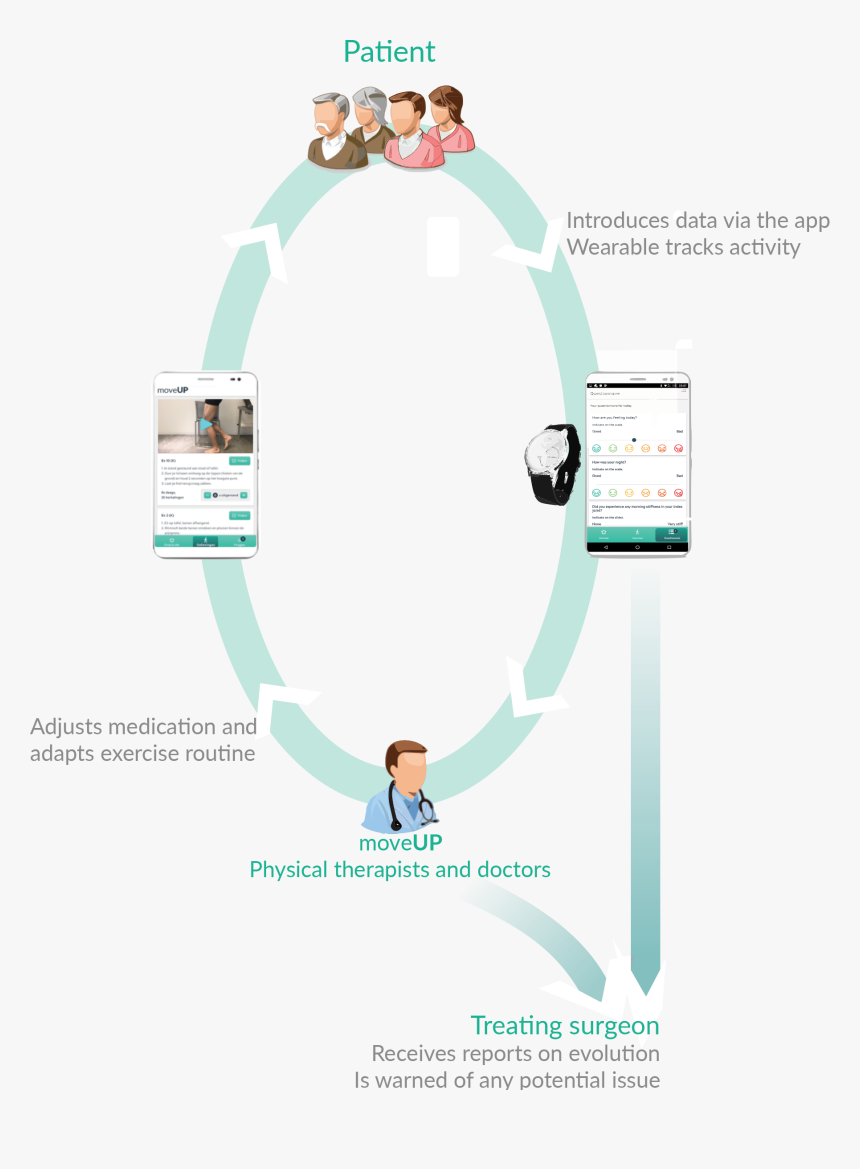 Patient Journey - Ellipse - Patient Journey Knee Surgery, HD Png Download, Free Download