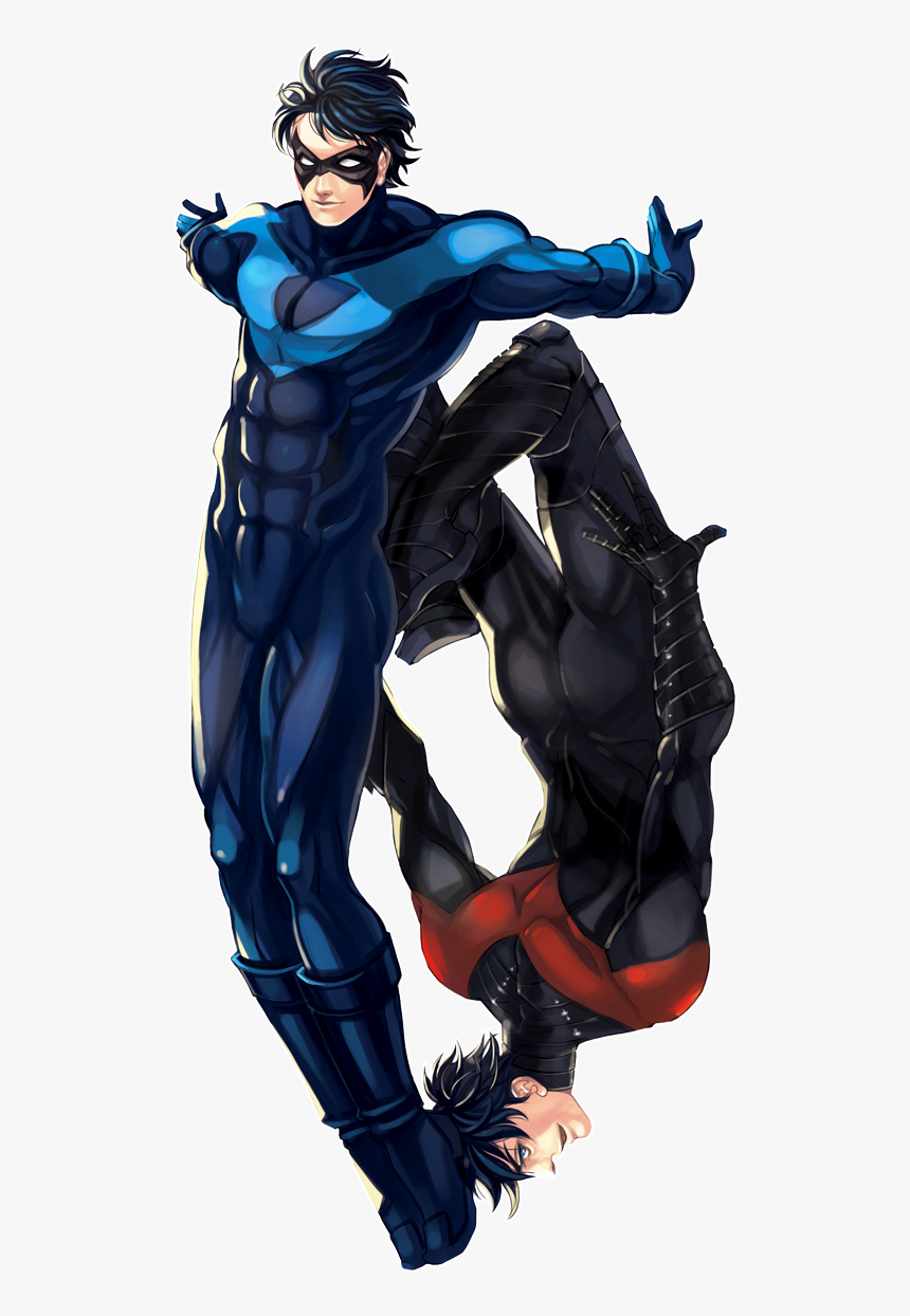 Two Nightwings By Operapink Batman Robin, Robin Dc, - Old Nightwing, HD Png  Download - kindpng