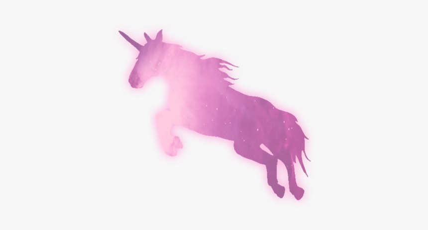 Transparent And Unicorn Image Cute T Shirts For Roblox Hd Png Download Kindpng - cute shirt for cute roblox