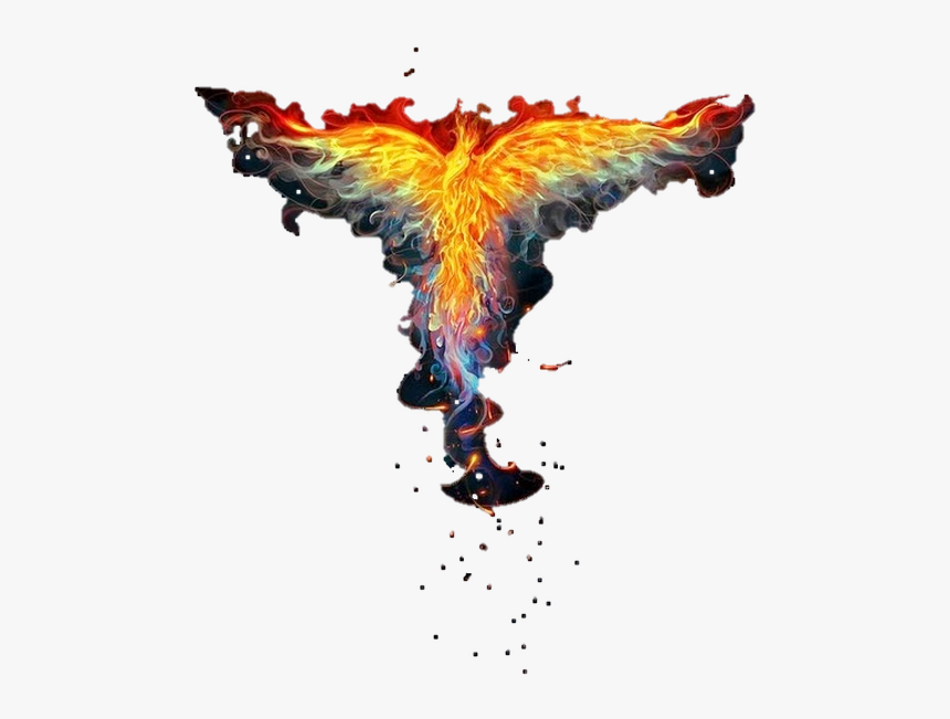 Phoenix Reborn, HD Png Download, Free Download