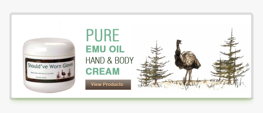 Emu, HD Png Download, Free Download