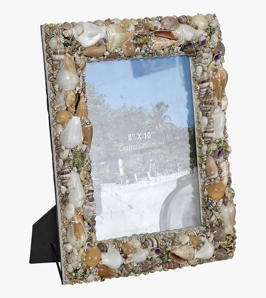 Frame Natural Shells Glass, HD Png Download, Free Download