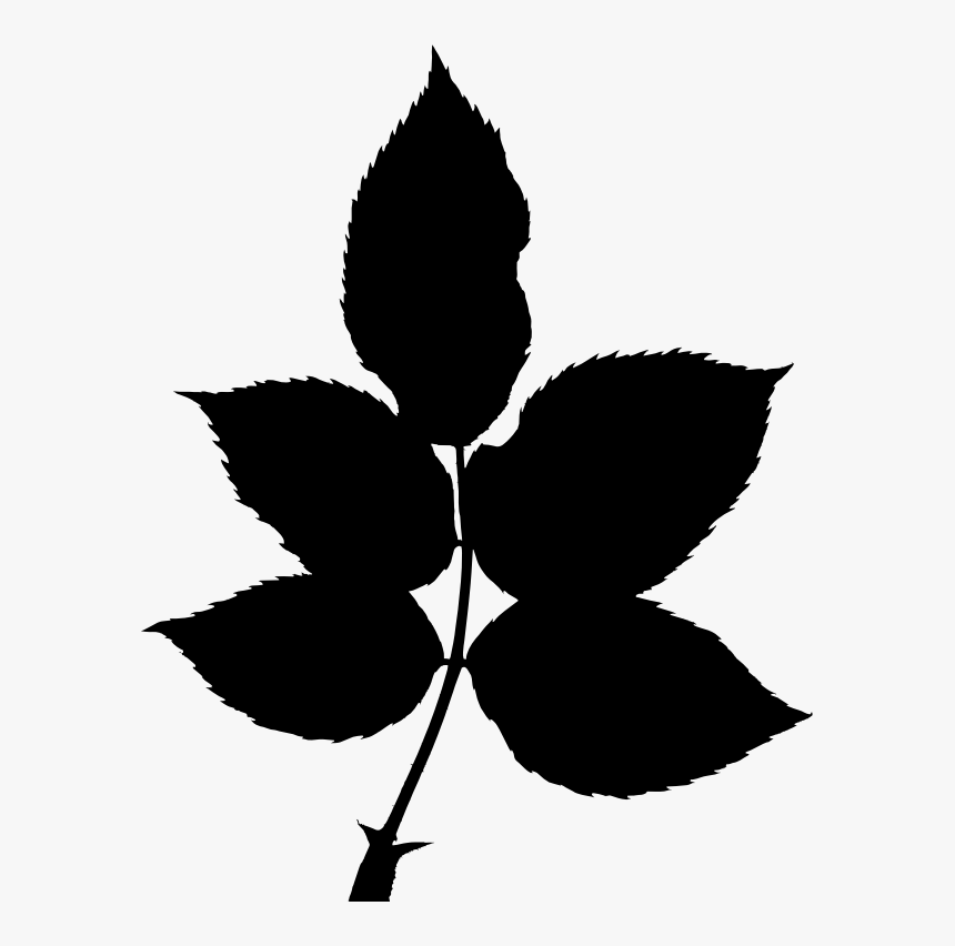 Leaves On A Stalk Silhouette - Rose Leaves Silhouette Png, Transparent Png, Free Download