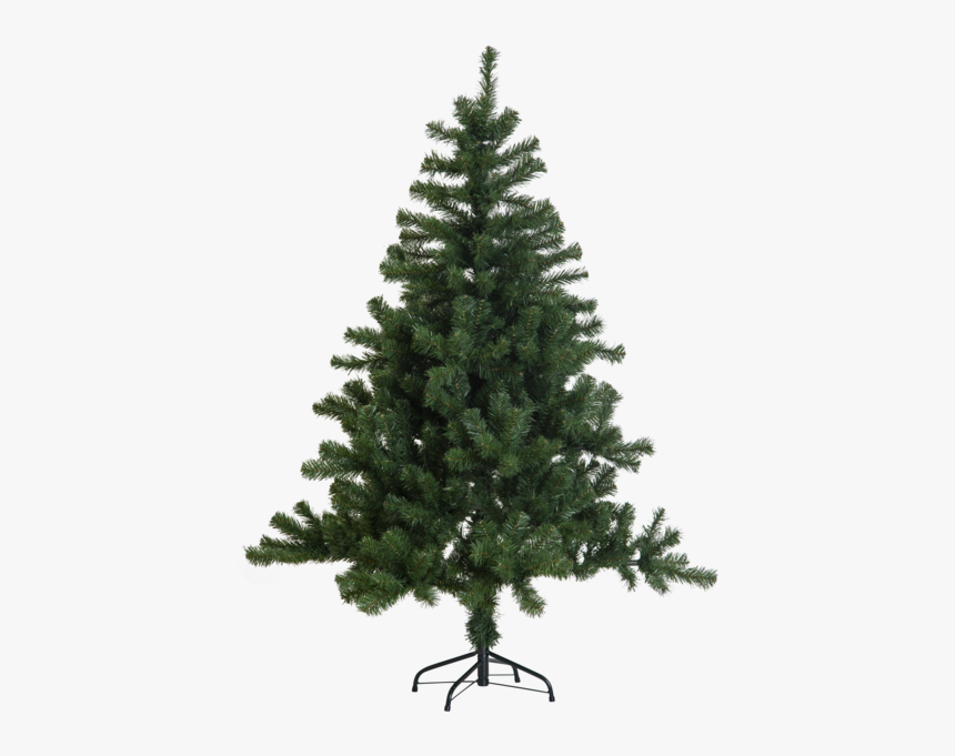 Christmas Tree New Quebec - Waitrose 6ft Christmas Tree, HD Png Download, Free Download