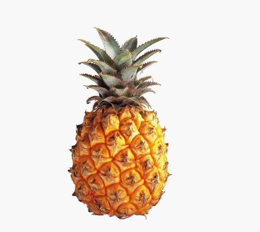 Transparent Google Search On - Pineapple Transparent, HD Png Download, Free Download