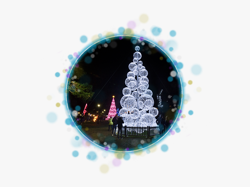 Bauble Bauble Christmas Tree In Bournemouth Lower Gardens - Christmas Tree Wonderland, HD Png Download, Free Download